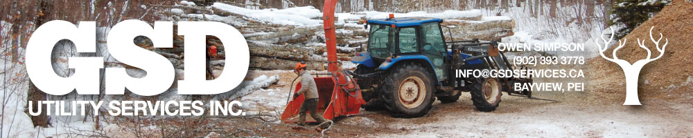 GSD Utility Services Inc